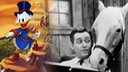 Alan Young / Scrooge McDuck / Mr. Ed